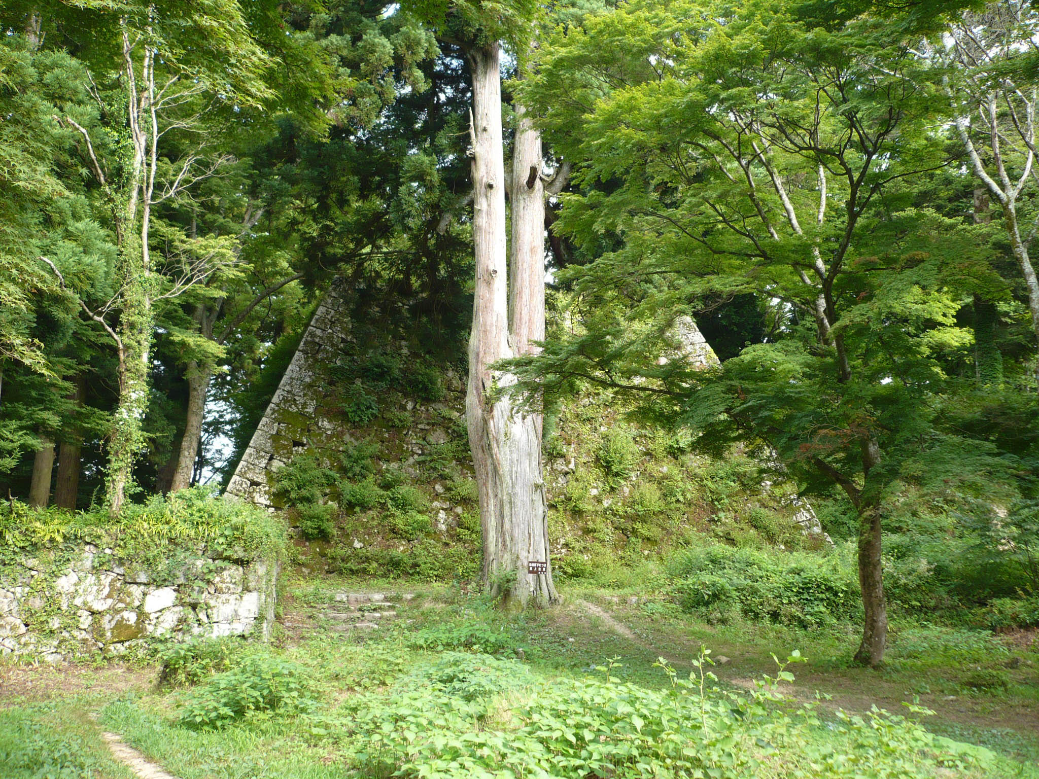 高取城:日本三大山城の一つ植村家政が配領 幕末には吉村虎太郎ら天誅組から攻撃を受けた高取城【お城特集 日本の歴史】