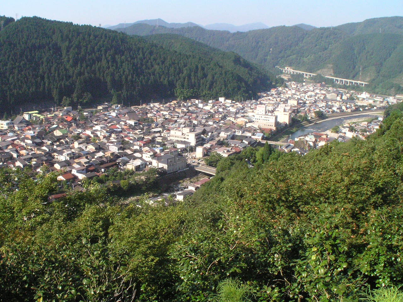 郡上八幡城：戦国期は遠藤慶隆が城主であり幕末時は青山家の居城 郡上八幡城【日本の歴史 お城特集】