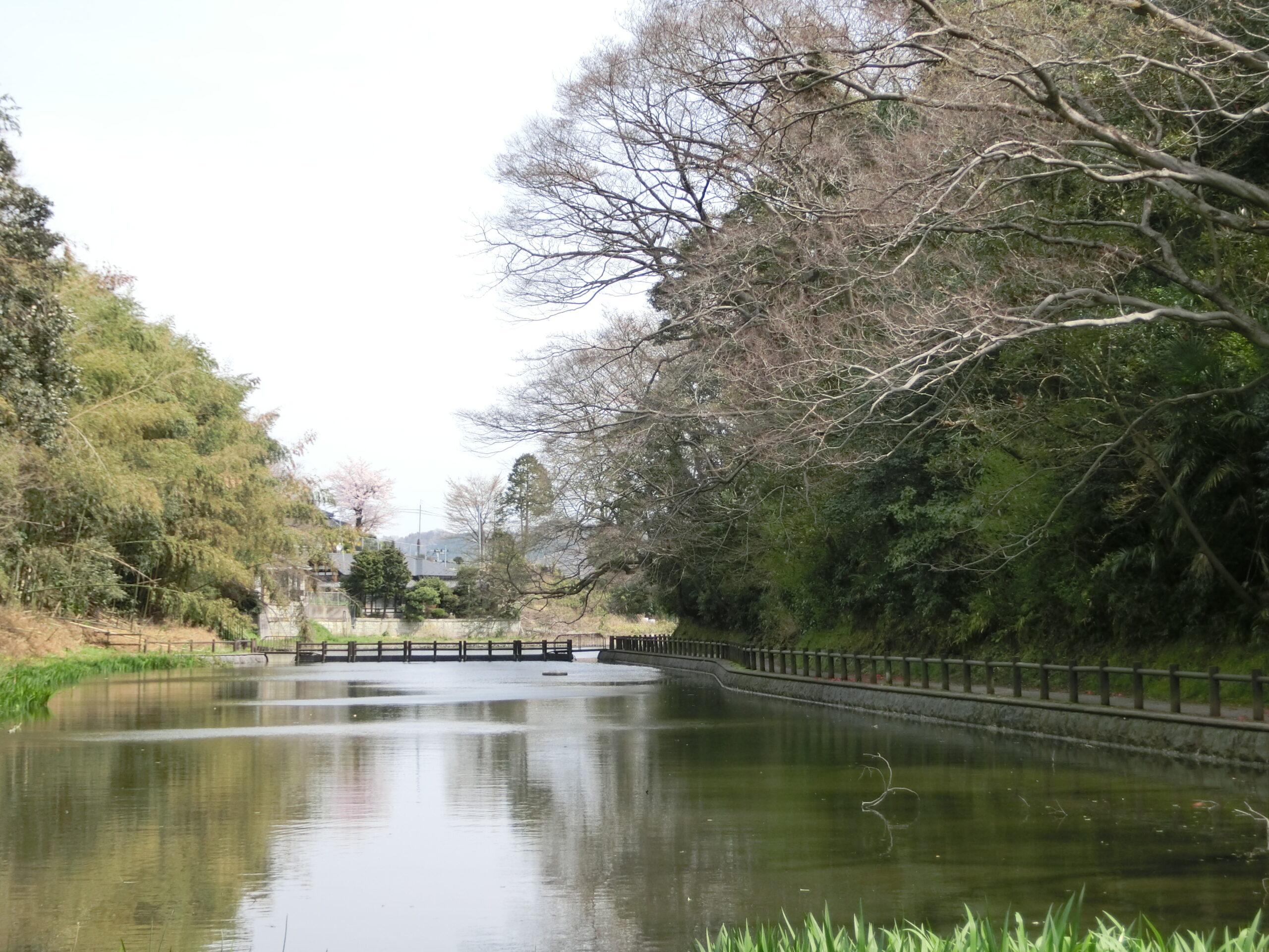 岩城平城/アクセス・場所・地図 岩城氏改易後に鳥居忠政が入封 幕末では安藤氏が新政府軍へ徹底抗戦し落城した平城【お城特集 日本の歴史】