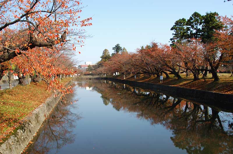 鶴ヶ岡城/アクセス・場所・地図 戊辰戦争では新政府軍に連戦連勝した庄内藩(譜代大名酒井氏)の居城 鶴ヶ岡城【お城特集 日本の歴史】