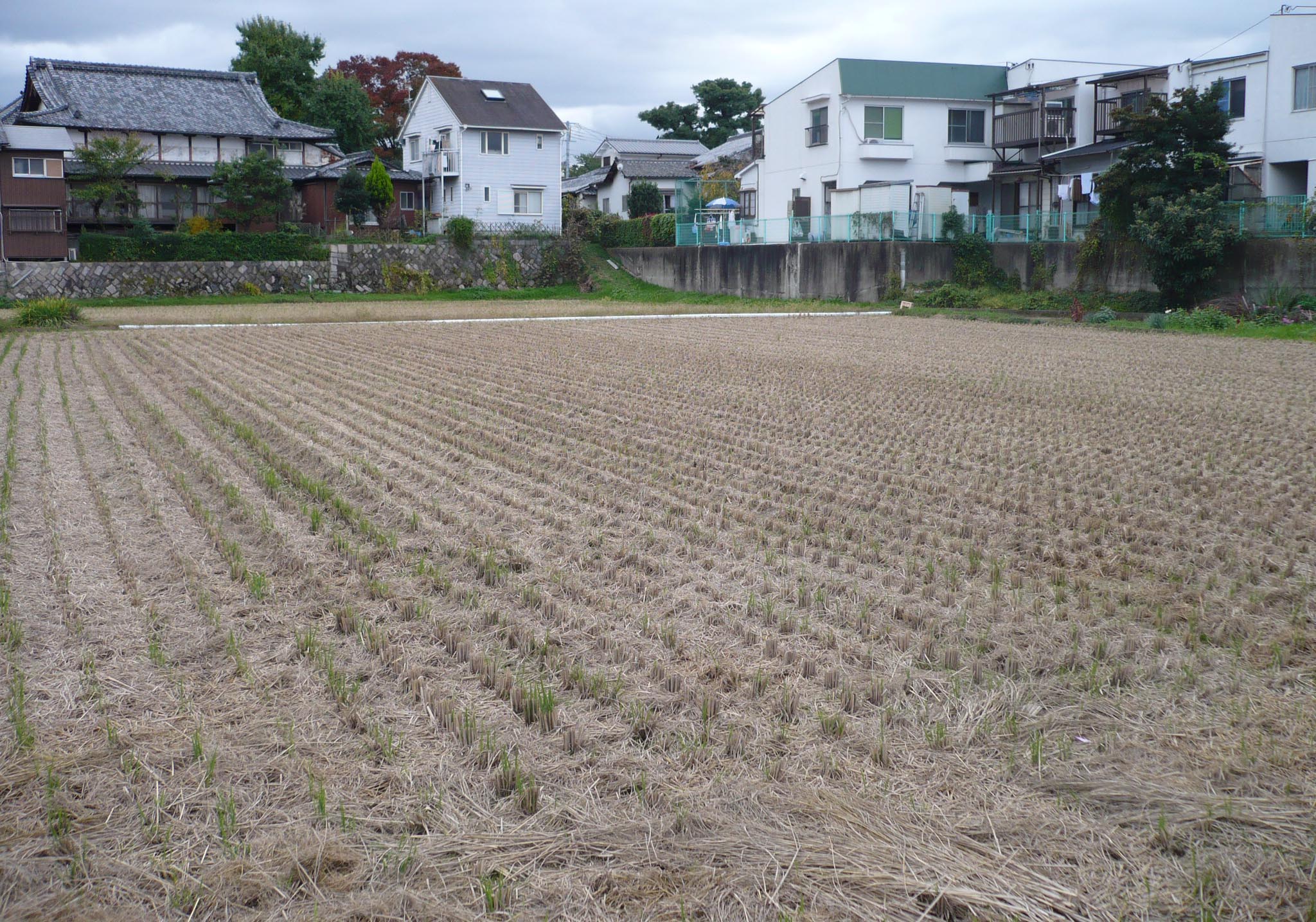 淀城／アクセス・場所・地図 将軍秀忠に命により松平定綱が築城 幕末には鳥羽伏見の戦いで敗れた幕府軍の入城を拒否した淀城【お城特集 日本の歴史】