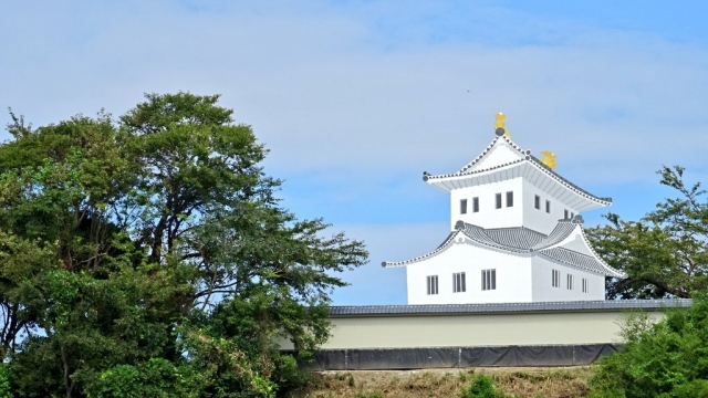 磐城平藩／安藤家４万石：安藤信正【幕末維新写真館】