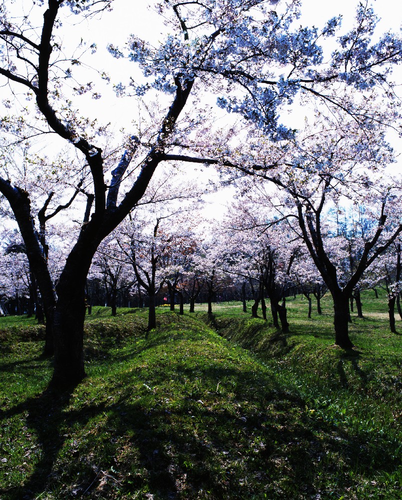 館城/アクセス・場所・地図 函館戦争直前に松前藩が築城した城で旧幕府軍に攻撃された館城【お城特集 日本の歴史】