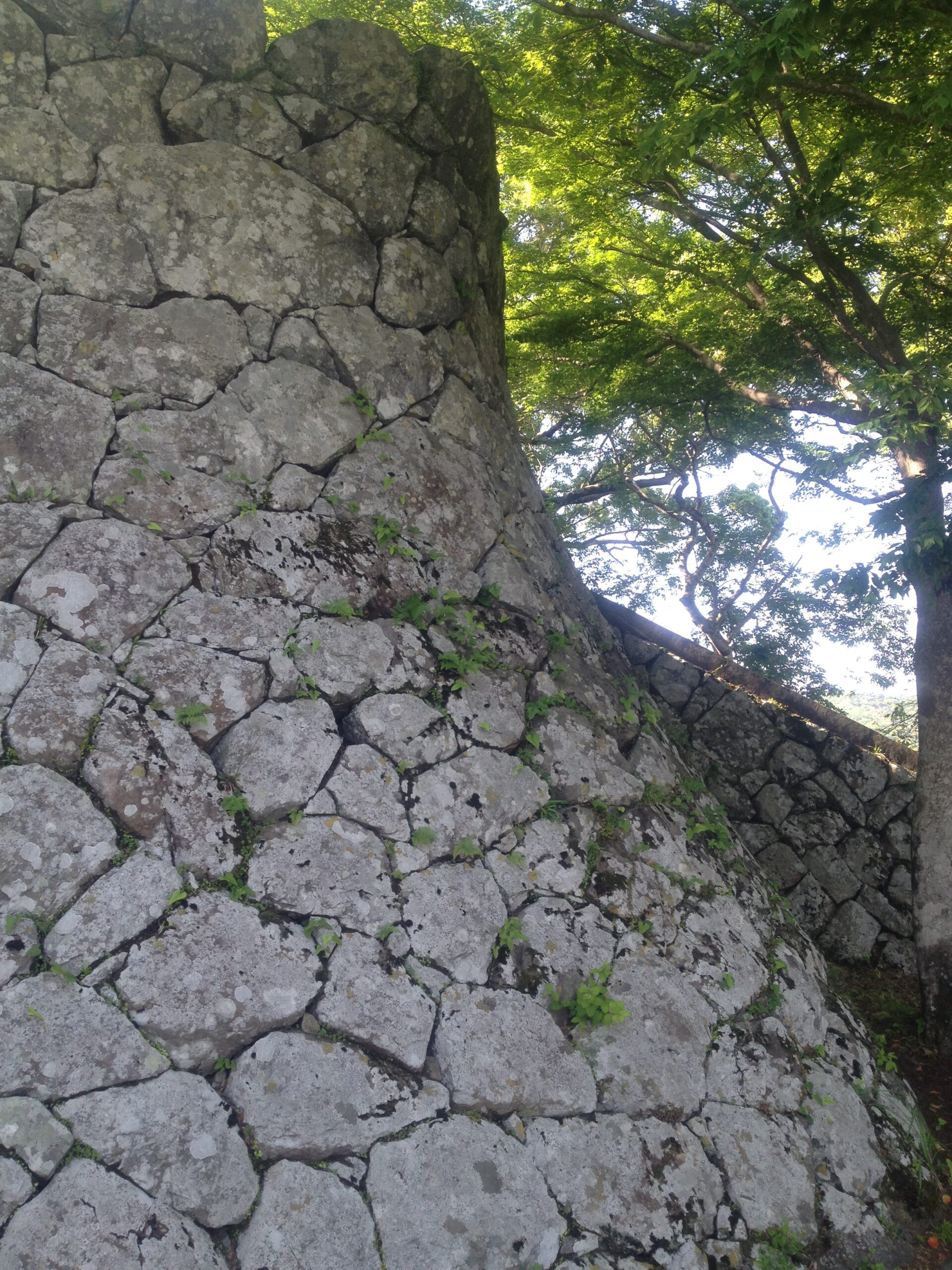 佐伯藩/場所・アクセス・地図 毛利家2万石:毛利高謙 早くから藩主が勤王派で鳥羽伏見の戦い後に恭順した佐伯藩【幕末維新写真館】