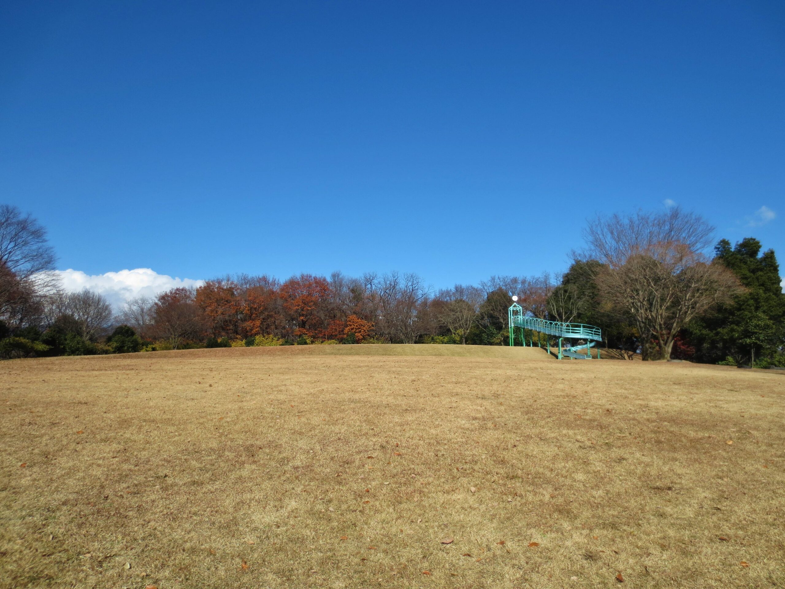 山上藩/場所・アクセス・地図 稲垣家1万3千石:稲垣太祥 当初佐幕派だったが途中から新政府に属した山上藩【幕末維新写真館】