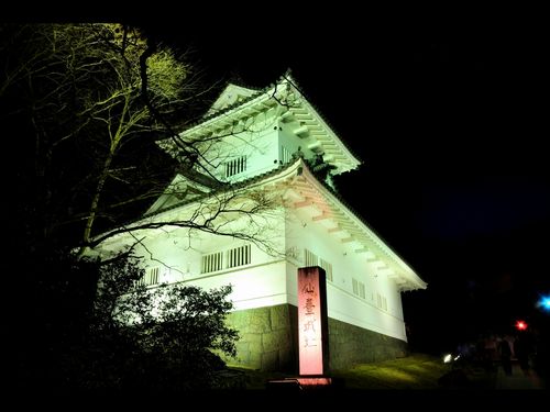 仙台藩/伊達家62万石:伊達義邦【幕末維新写真館】