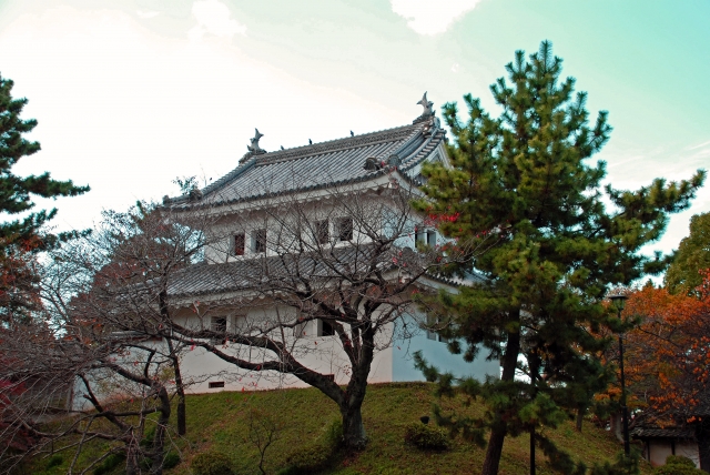 土浦藩／場所・アクセス・地図 土屋家９万５千石：土屋寅直 佐幕派と倒幕派に割れたが無事に維新を乗り切った土浦藩【幕末維新写真館】