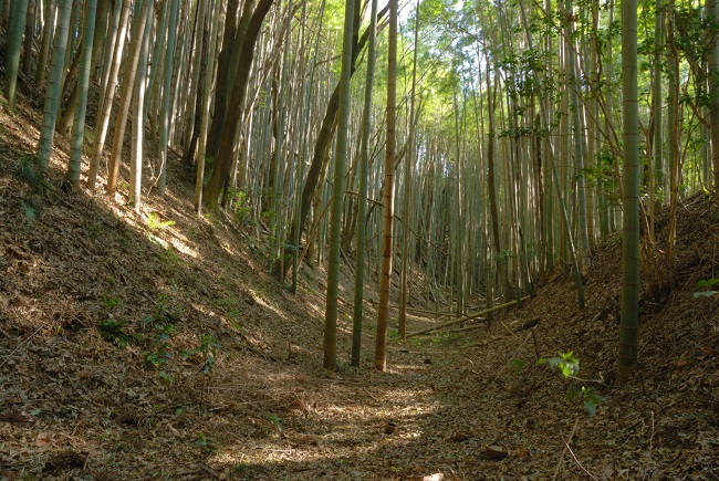牛久藩/場所・アクセス・地図 山口家1万石:山口弘達 戊辰戦争では恭順を示し藩主が上洛した牛久藩【幕末維新写真館】