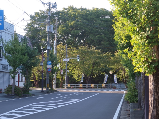 新庄藩/戸沢家6万石:戸沢正実【幕末維新写真館】
