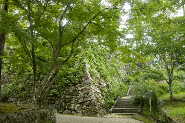 丹波亀山藩/場所・アクセス・地図 松平家1万8千石:松平信正 戊辰戦争では新政府の山陰鎮撫使に降伏しその後新政府軍に従った亀山藩【幕末維新写真館】
