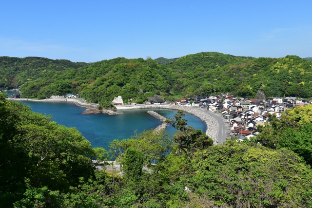 浜田藩/場所・アクセス・地図 松平家6万1千石:松平武聰 長州藩大村益次郎の軍に惨敗し城を捨てて敗走した浜田藩【幕末維新写真館】