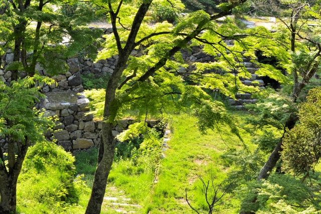 高取藩/場所・アクセス・地図 植村家2万5千石:植村家壷 天誅組の乱の鎮圧にあたるが以降新政府に属した高取藩【幕末維新写真館】