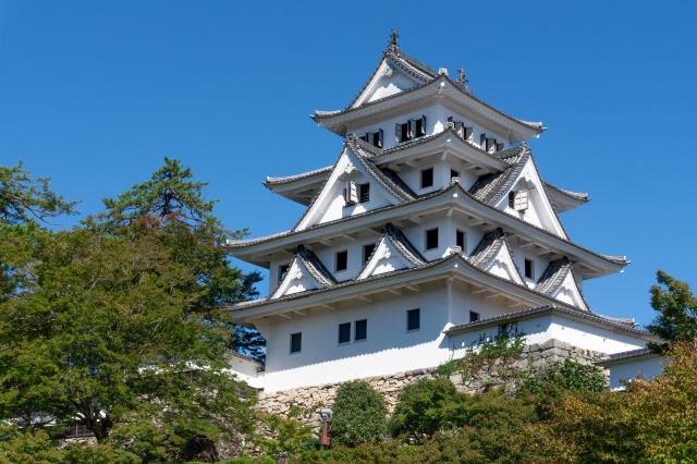 八幡藩＜郡上藩＞／場所・アクセス・地図 青山家４万８千石：青山幸宜 新政府軍に恭順しながら凌霜隊を会津へ派兵した郡上藩【幕末維新写真館】