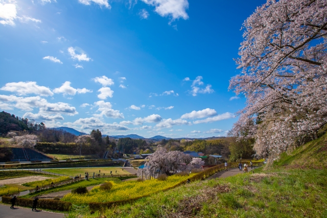 三春藩/秋田家5万石:秋田映季【幕末維新写真館】