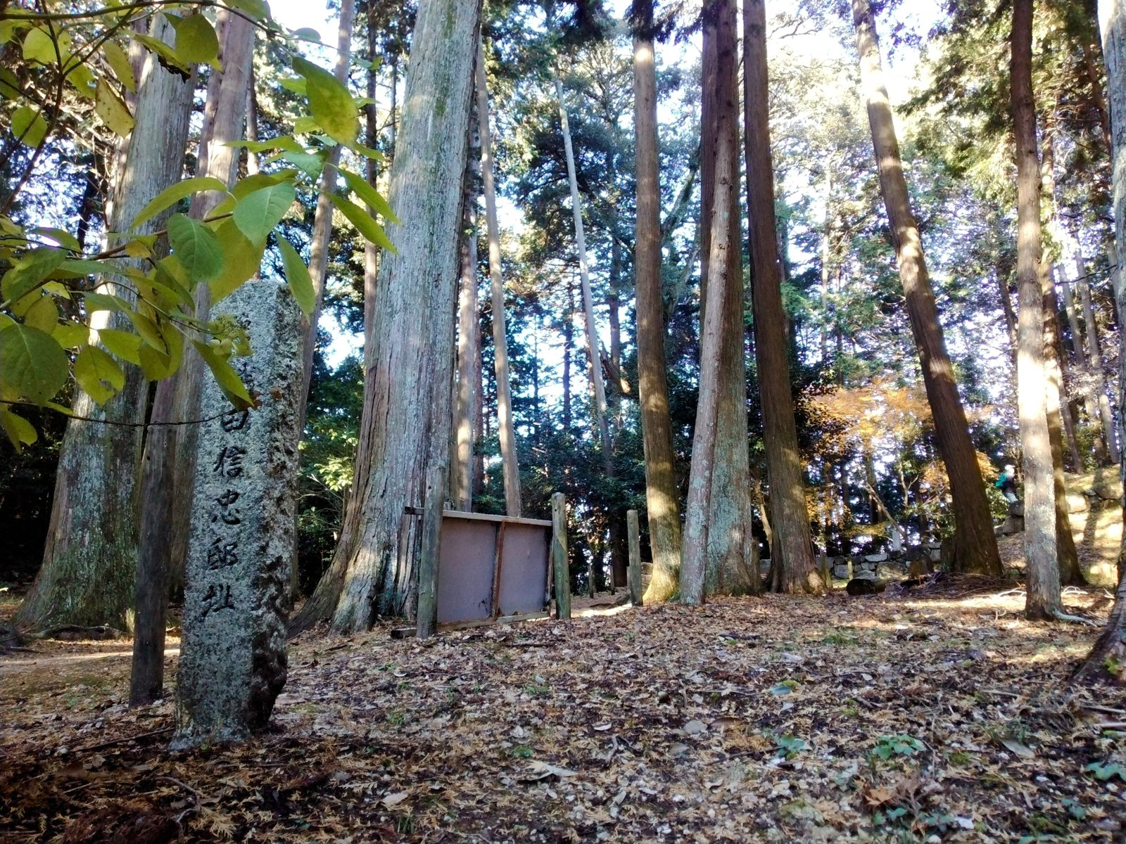 「伝織田信忠邸址」。嫡男の屋敷は杉木立のなかにある