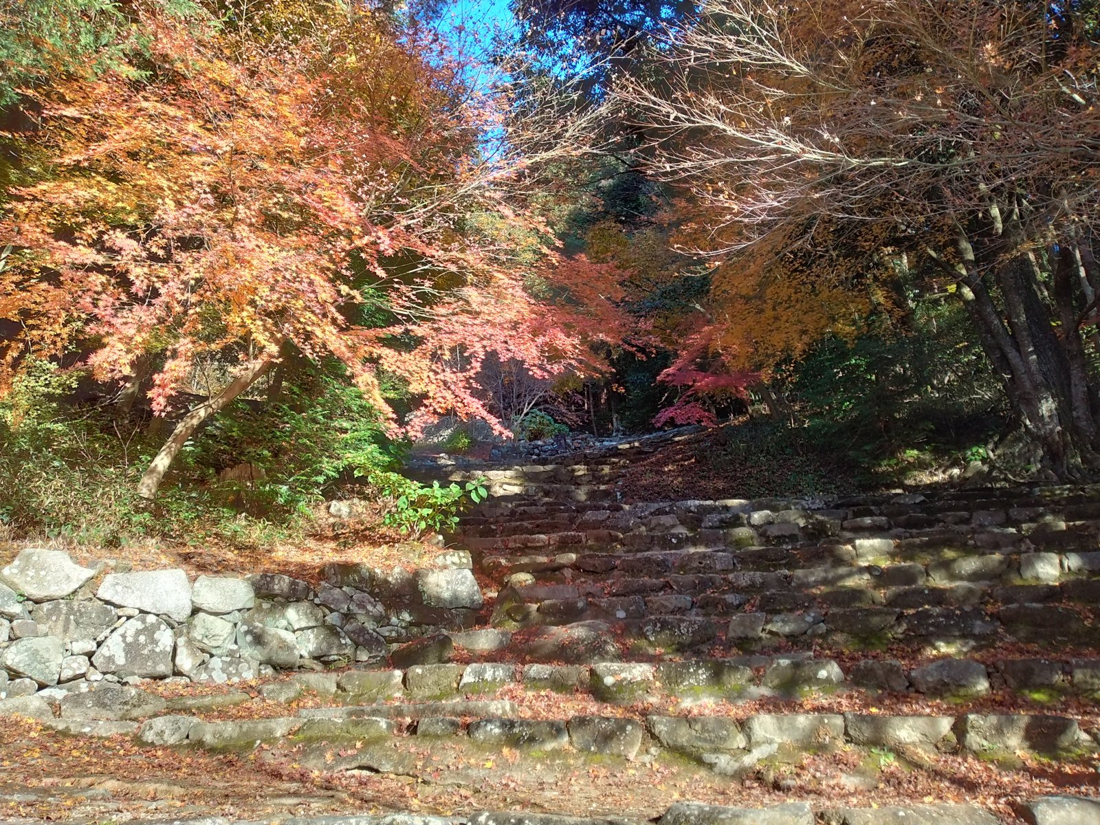 大手道の石段。幅が広く、まっすぐ山上へ向かって延びている