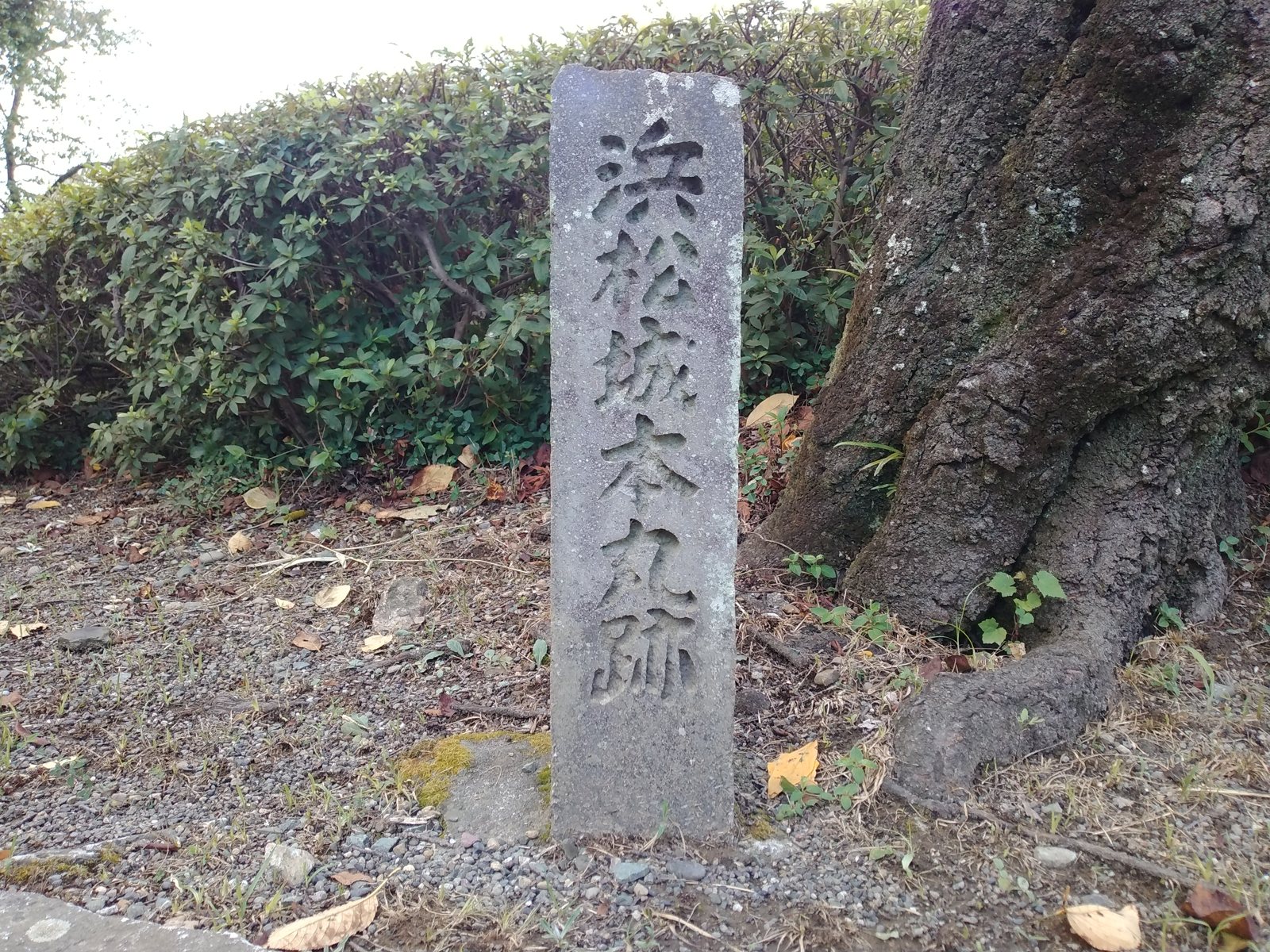 「浜松城本丸跡」の標柱。木立の中に静かに立っている