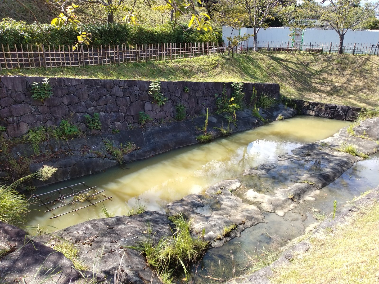 石垣と水堀。城の骨格は、天守が無かった時代もこのまま残っていた