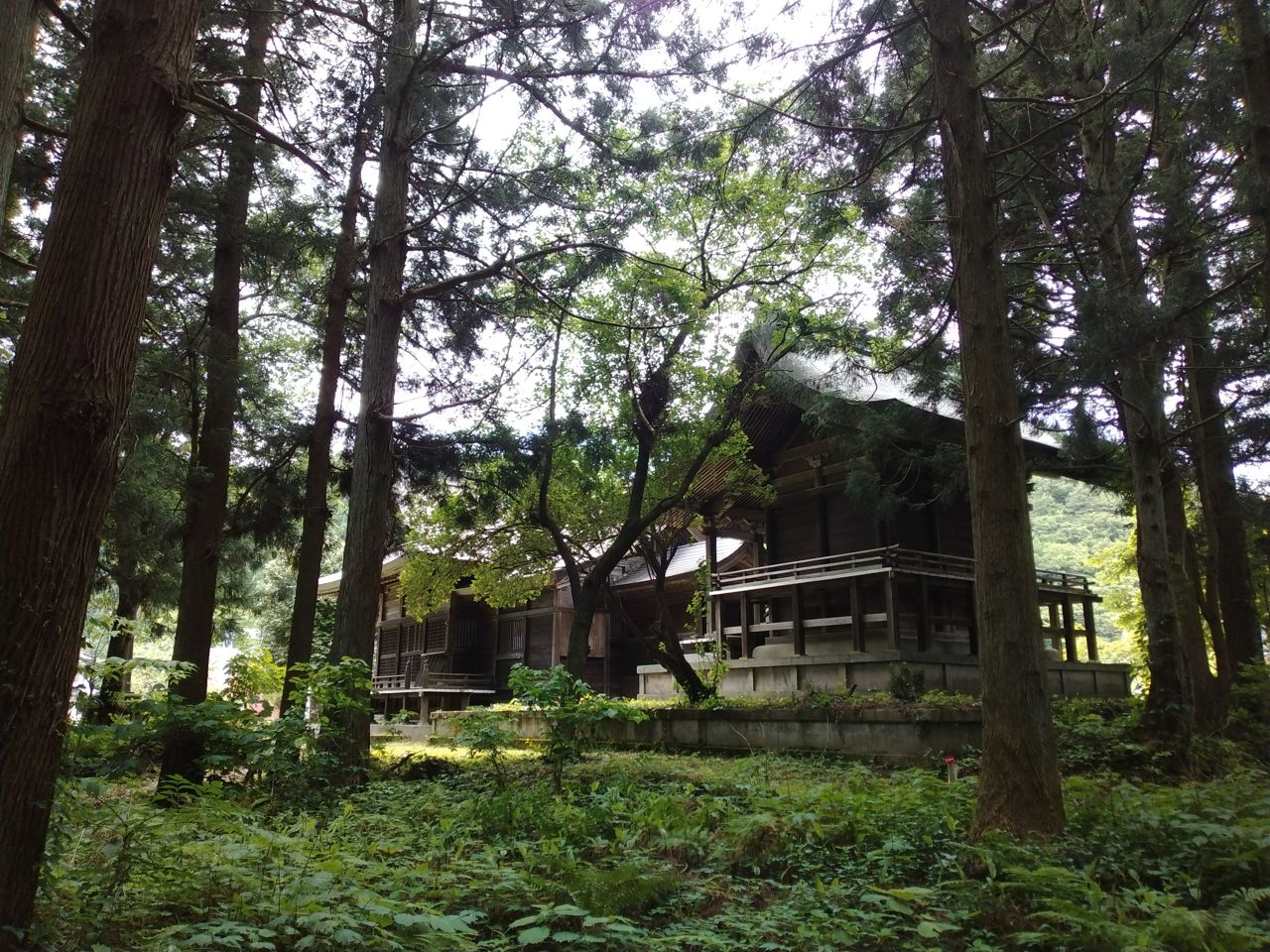 木立に包まれた清河神社の社殿。清河八郎を祭神としてまつる、生地・清川に鎮座する神社