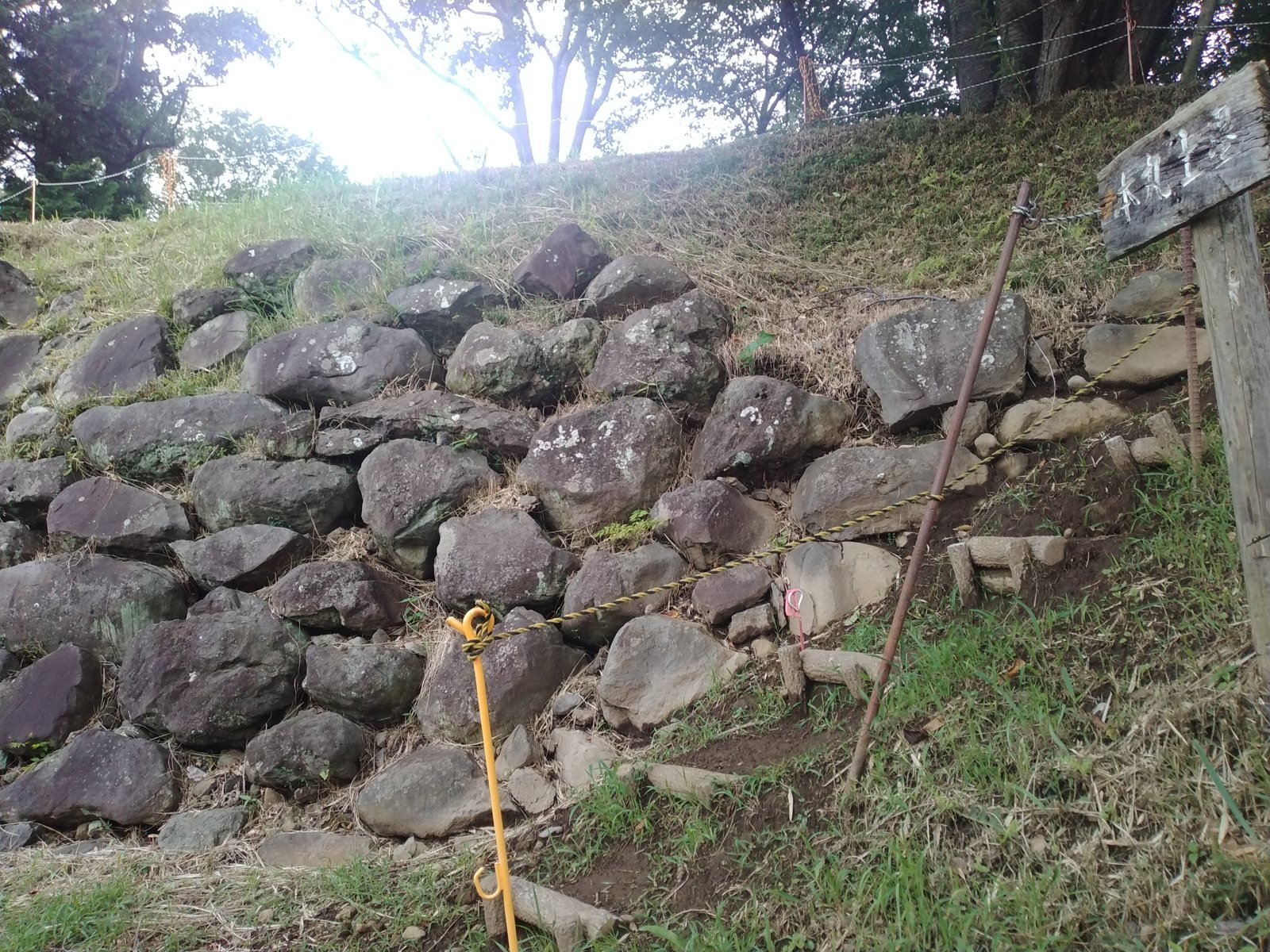 本丸土塁に残る石垣。野面積みの石が斜面にへばりついている