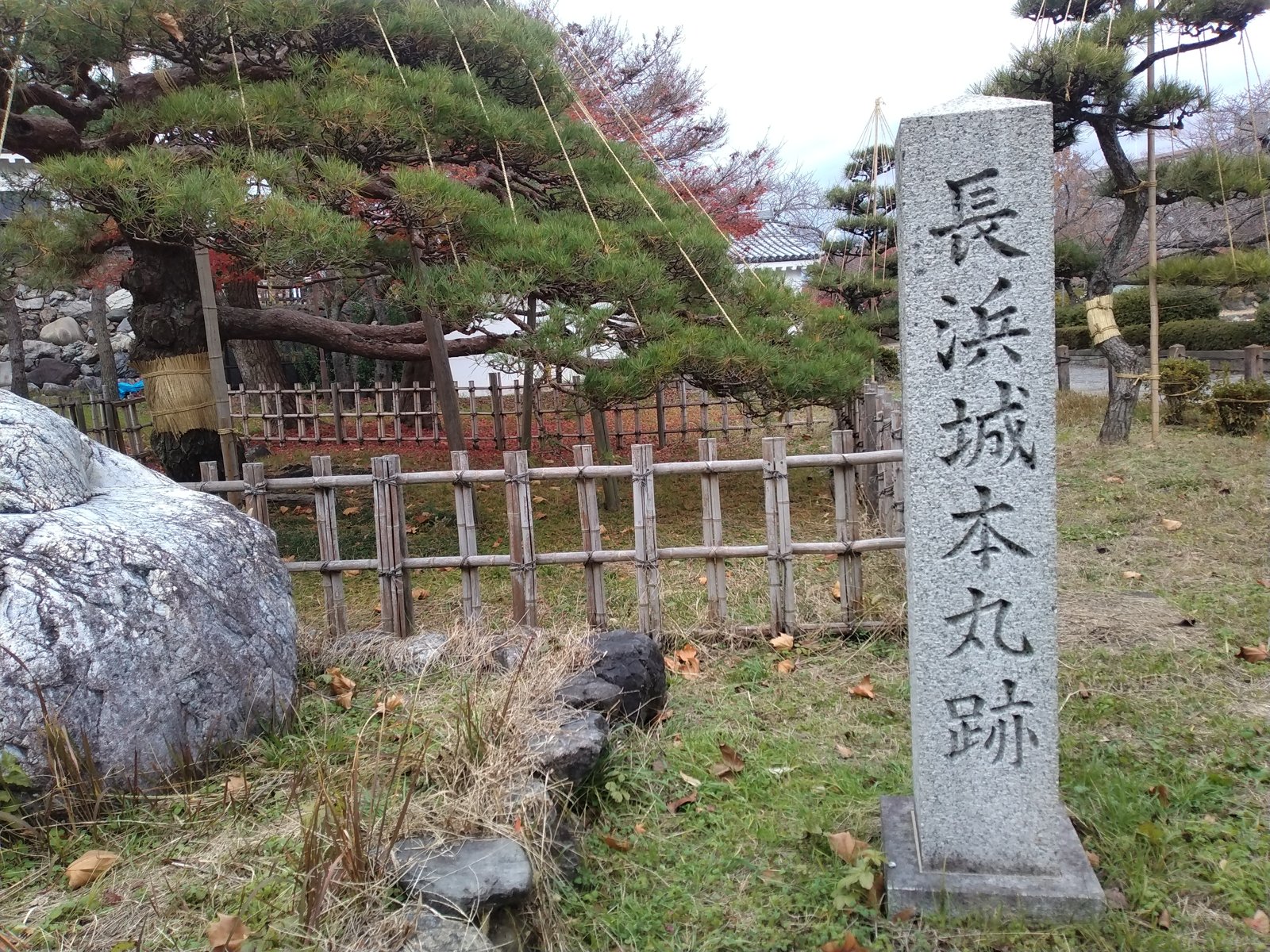 「長浜城本丸跡」の石碑。柵の向こうは手入れされた松と庭である