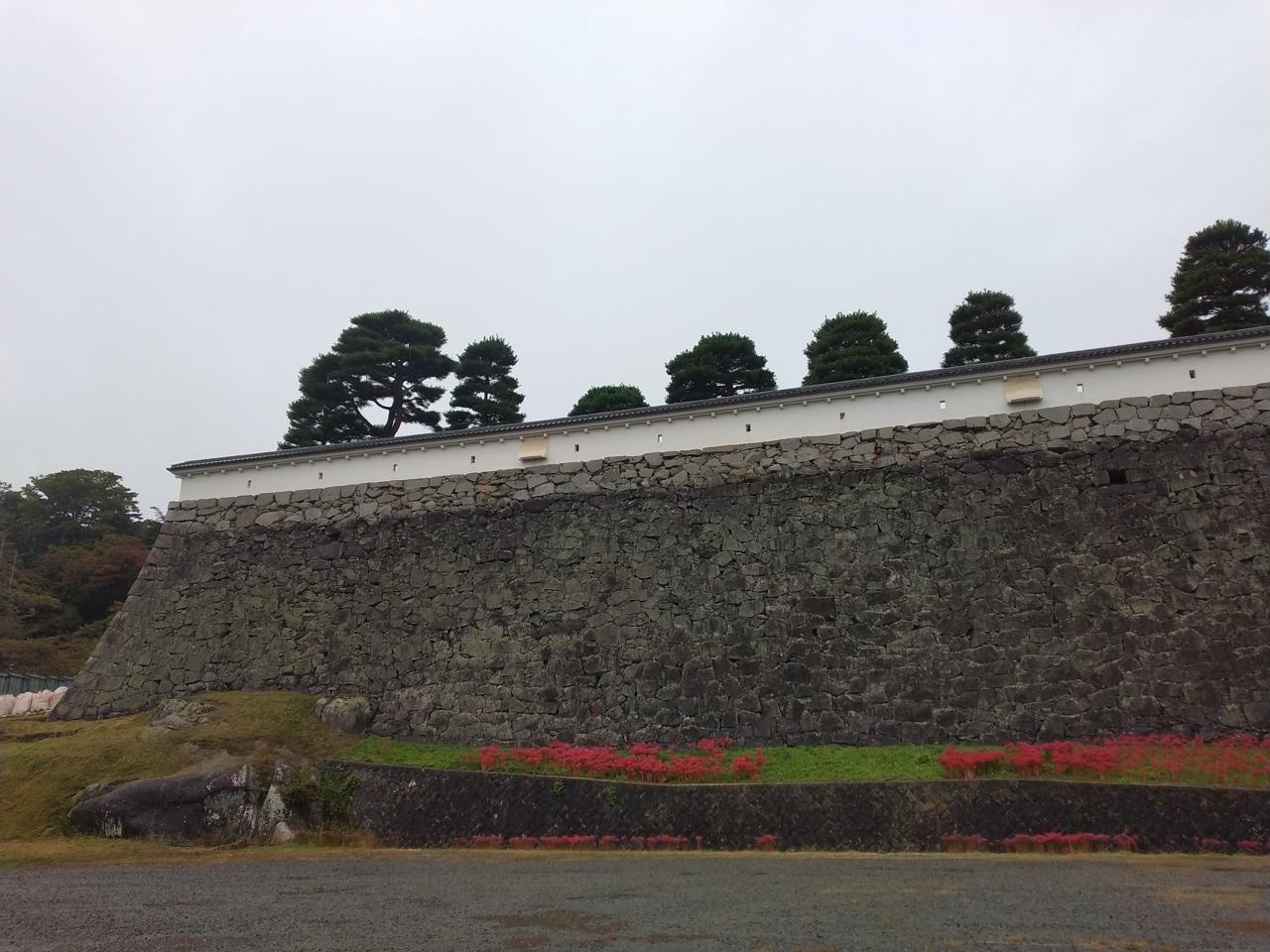 石垣の下に咲く彼岸花。落城の記憶を包む城山の秋