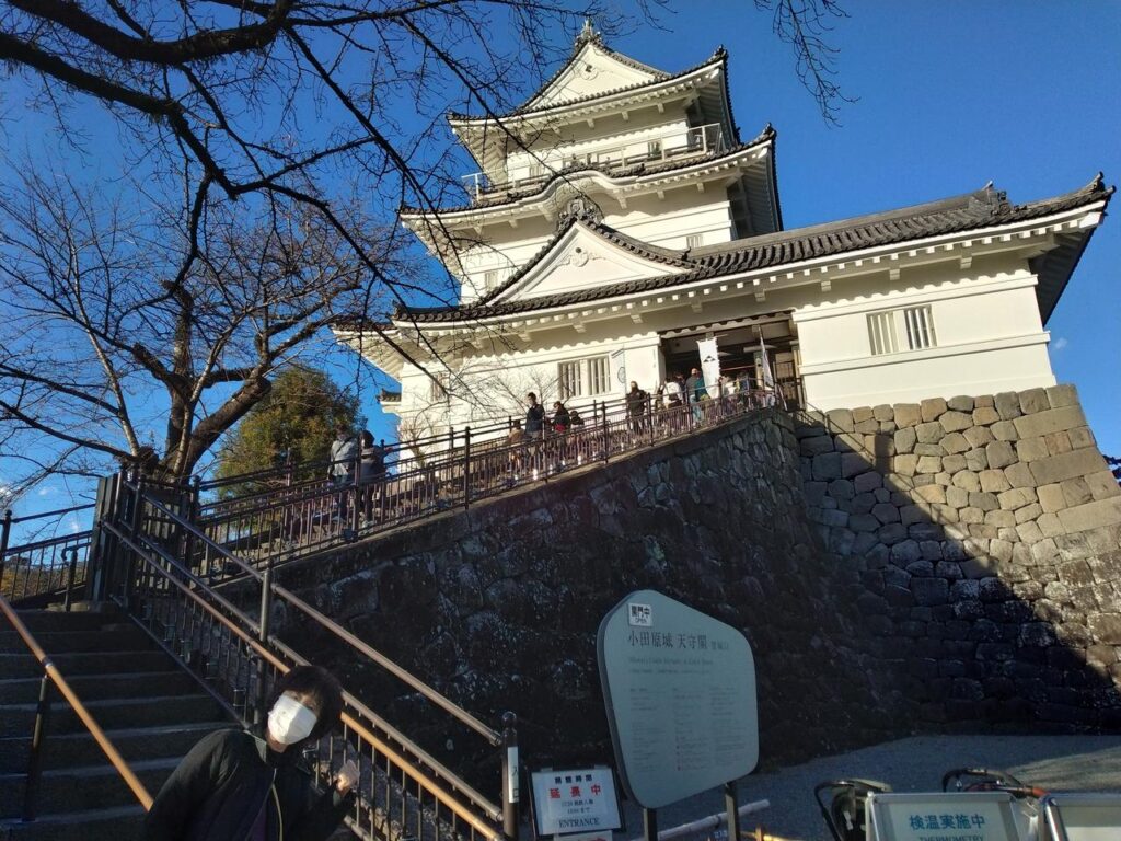 小田原城の天守閣を登城口の石段下から見上げる。天守は昭和35年の復興、石垣は江戸期のもの。