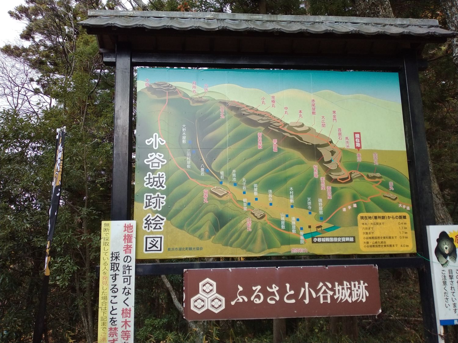 「小谷城跡絵図」。尾根の上に曲輪が数珠つなぎに並ぶ様子が一目で分かる。