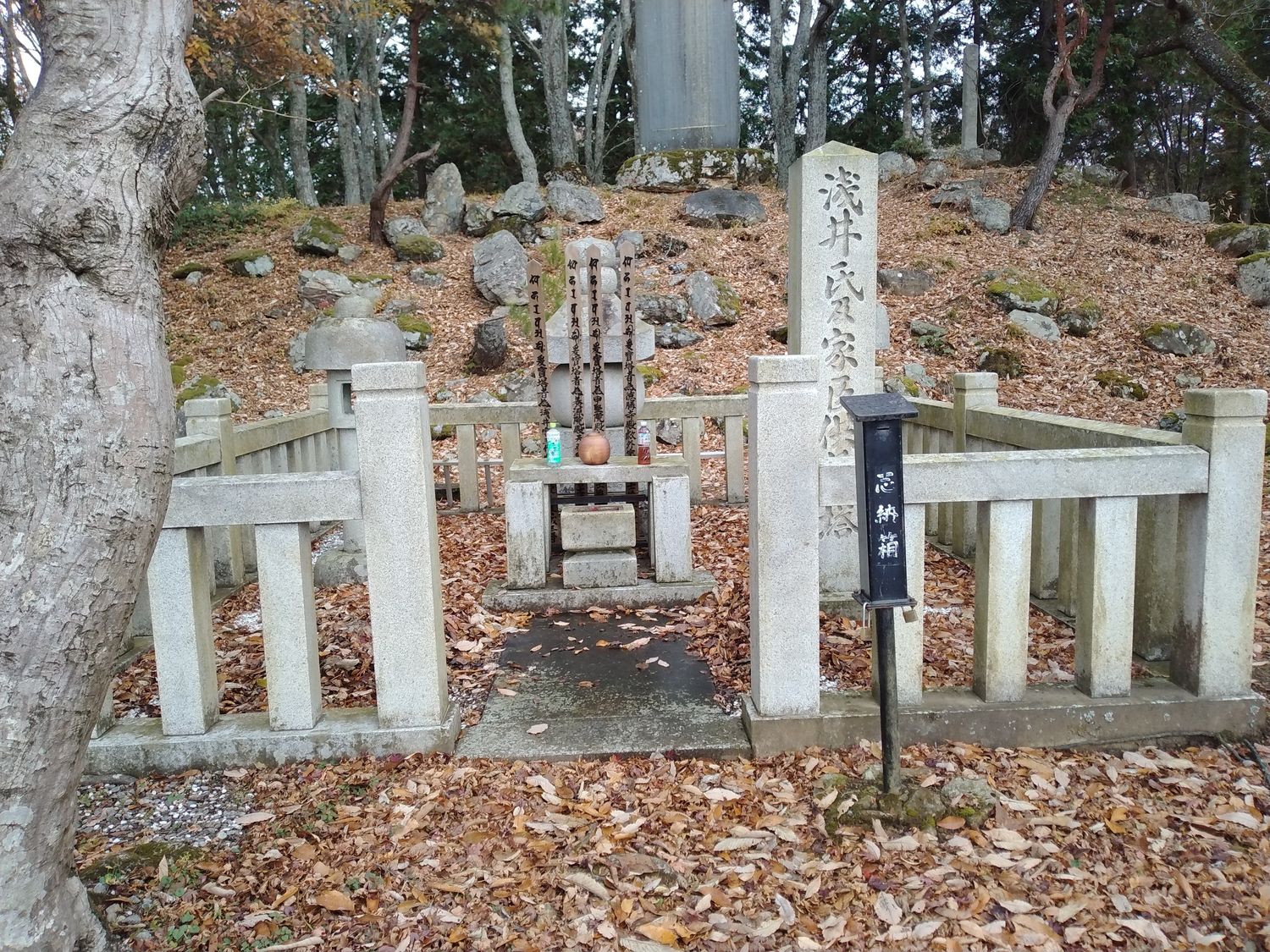 浅井氏及家臣供養塔。玉垣に囲まれ、落ち葉に埋もれるように立っている。