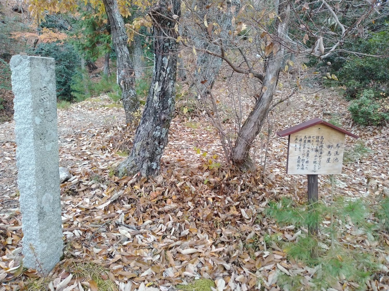 御馬屋跡の説明板。馬洗池の水がどこから来たのかについて、いくつかの推測が書かれている。