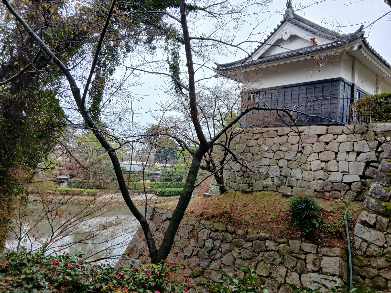 堀越しに見る岡崎城の隅櫓