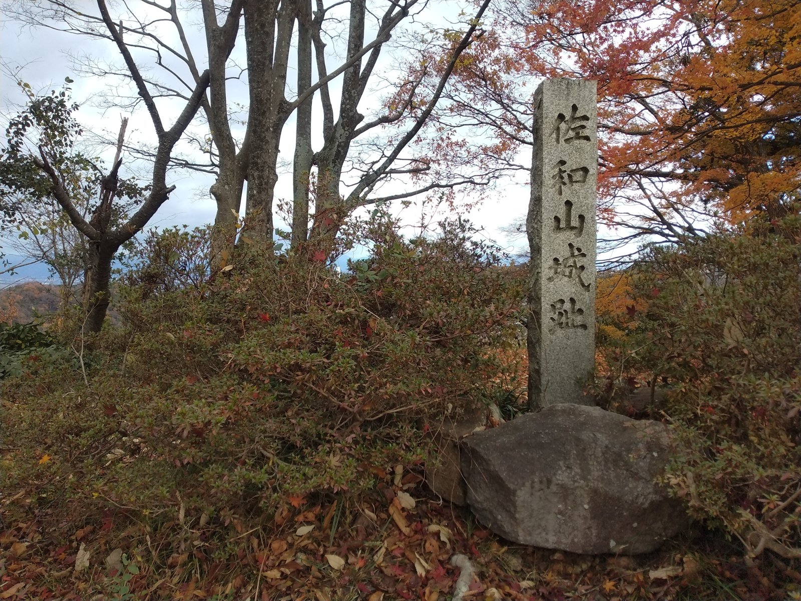 本丸跡に立つ「佐和山城跡」の石碑。あるのはこれだけである