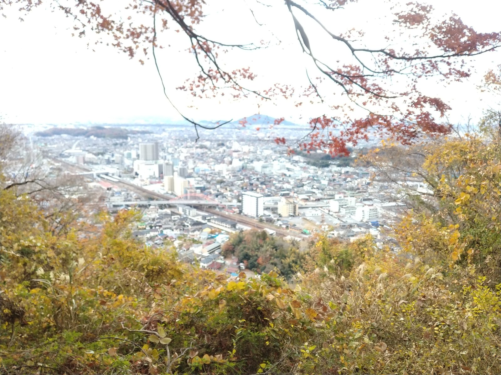 本丸から見下ろす彦根の市街。中央を東海道新幹線と国道が貫いている