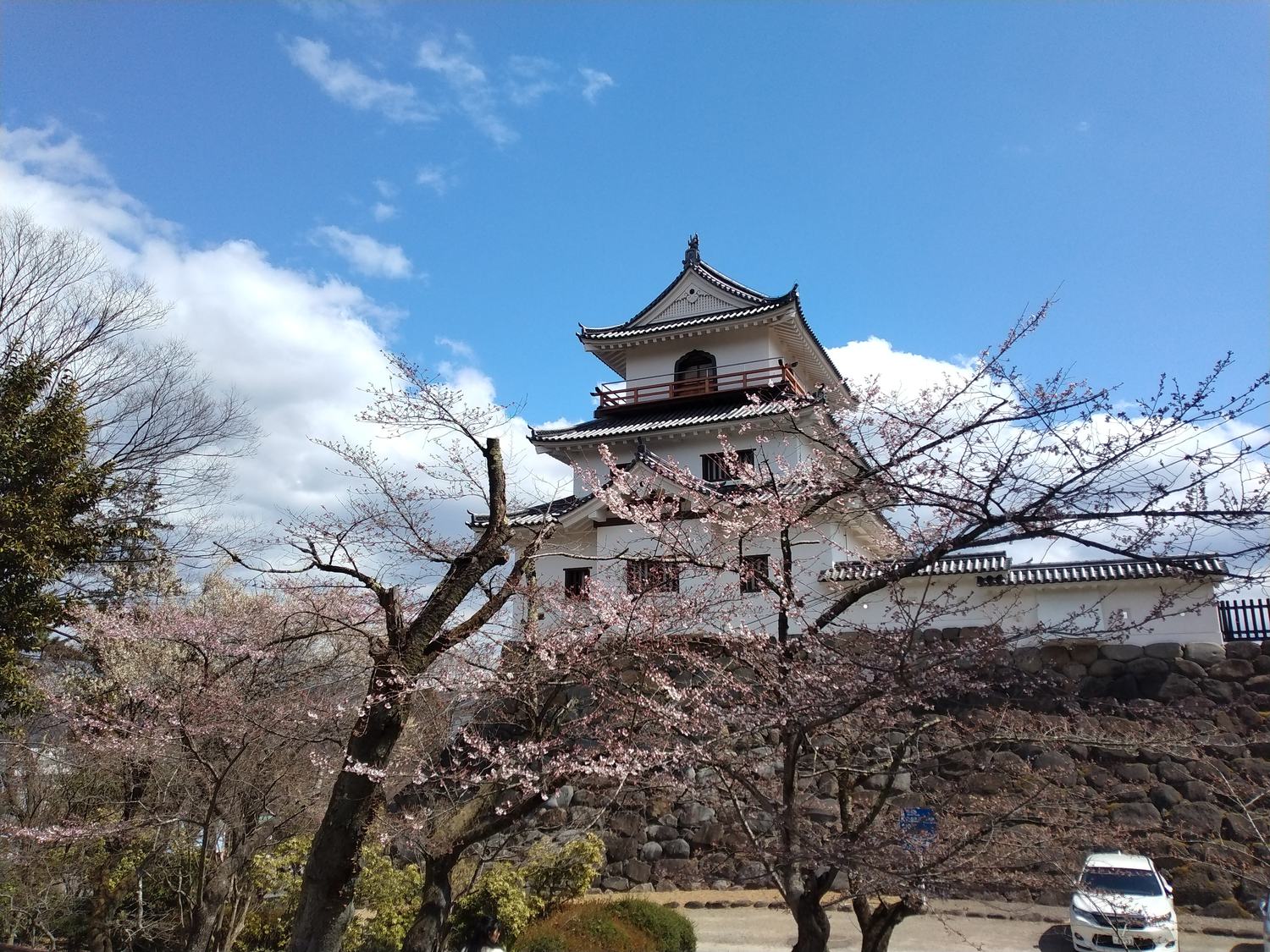 桜と三階櫓。城域は益岡公園として整備されている。