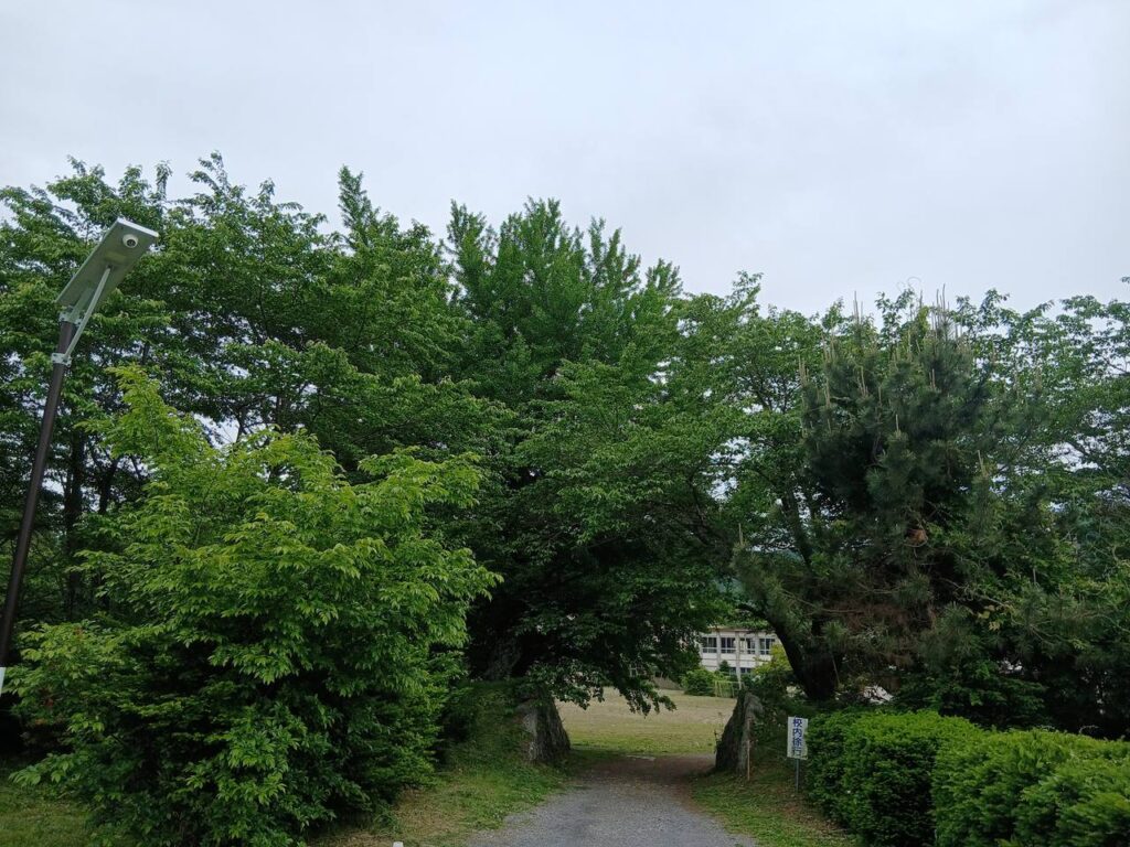 龍岡城跡の校門。星形の城跡が今は小学校の敷地になっている。