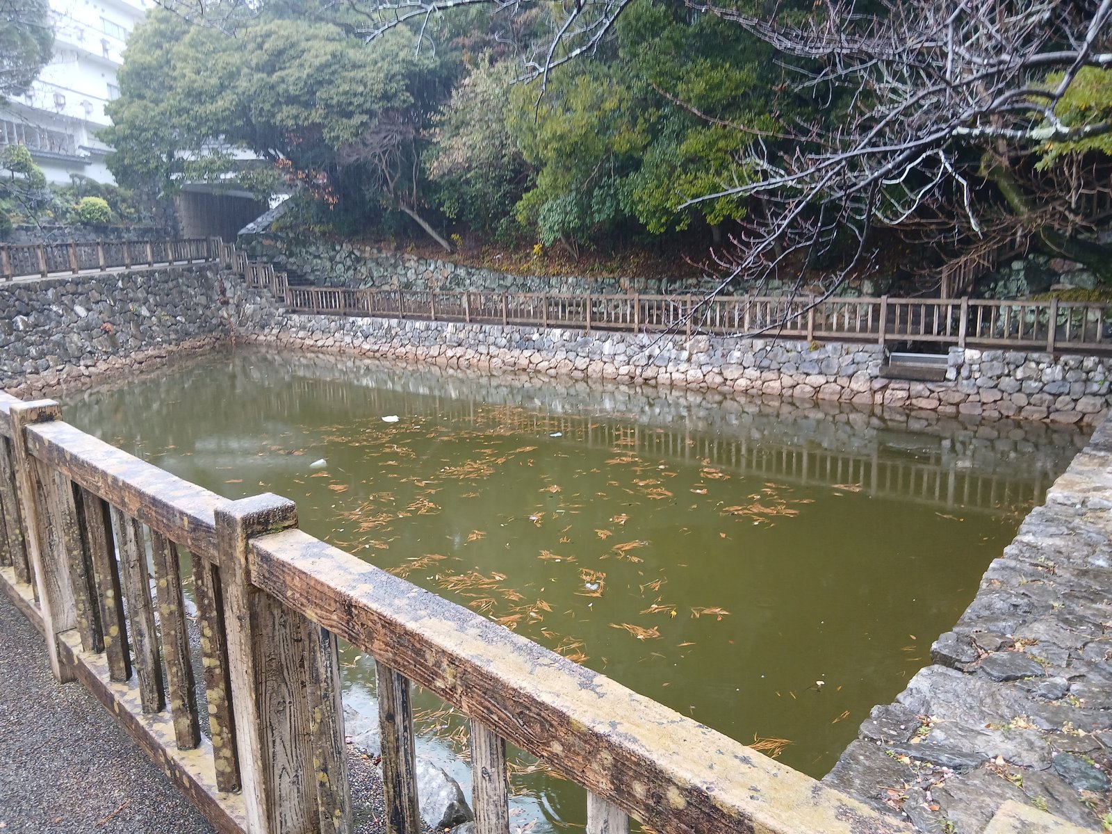 田原城跡の水堀
