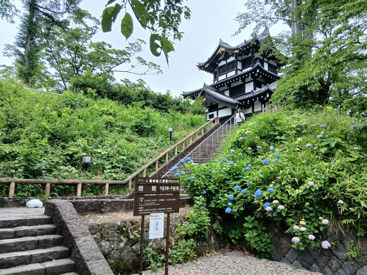 三重櫓へ上がる石段。あじさいの季節だった。閉館時刻の案内板が出ている。