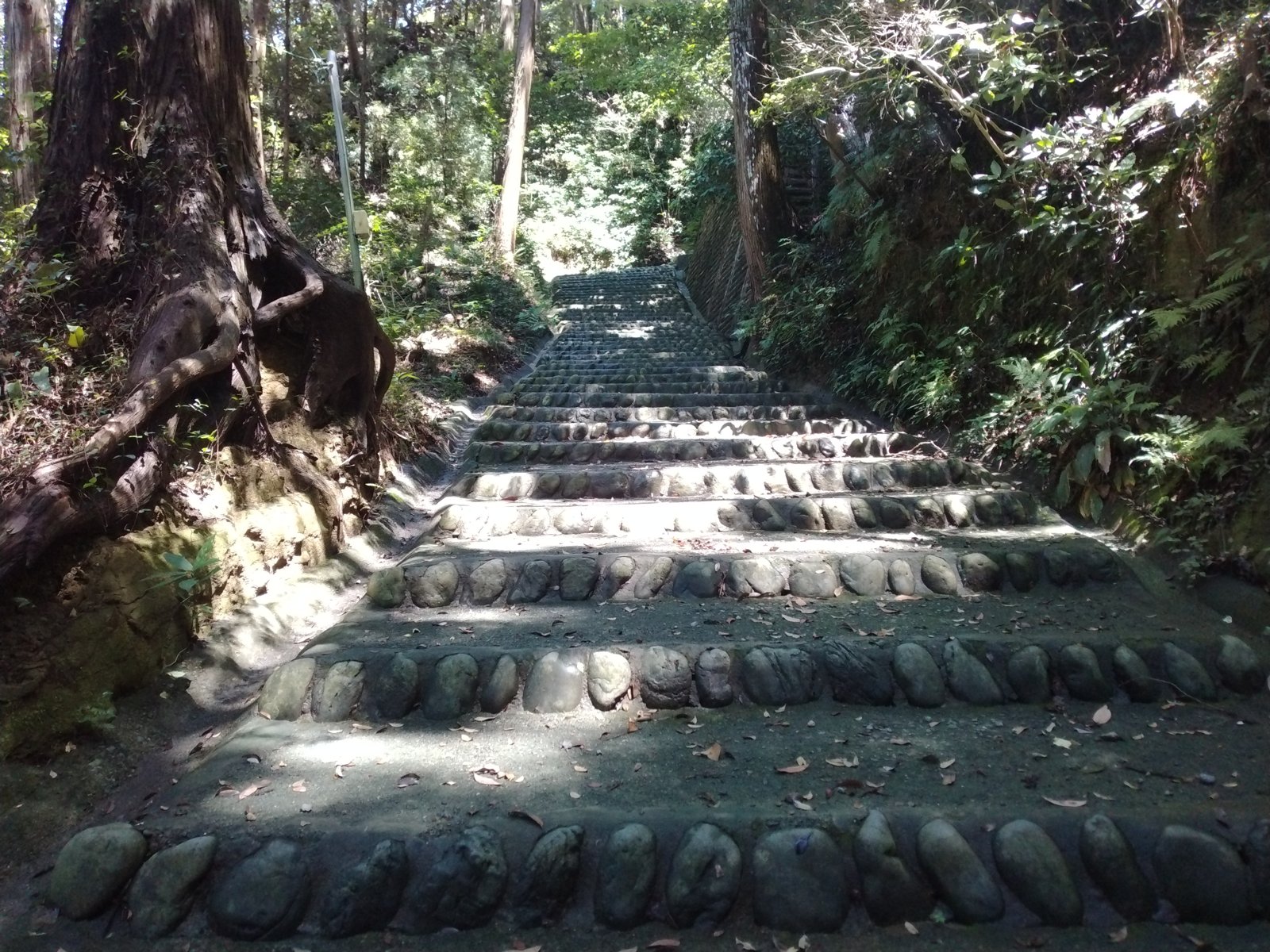 石段は近年整備されたもの。両脇に川原石を並べた歩きやすい道が本丸まで続く