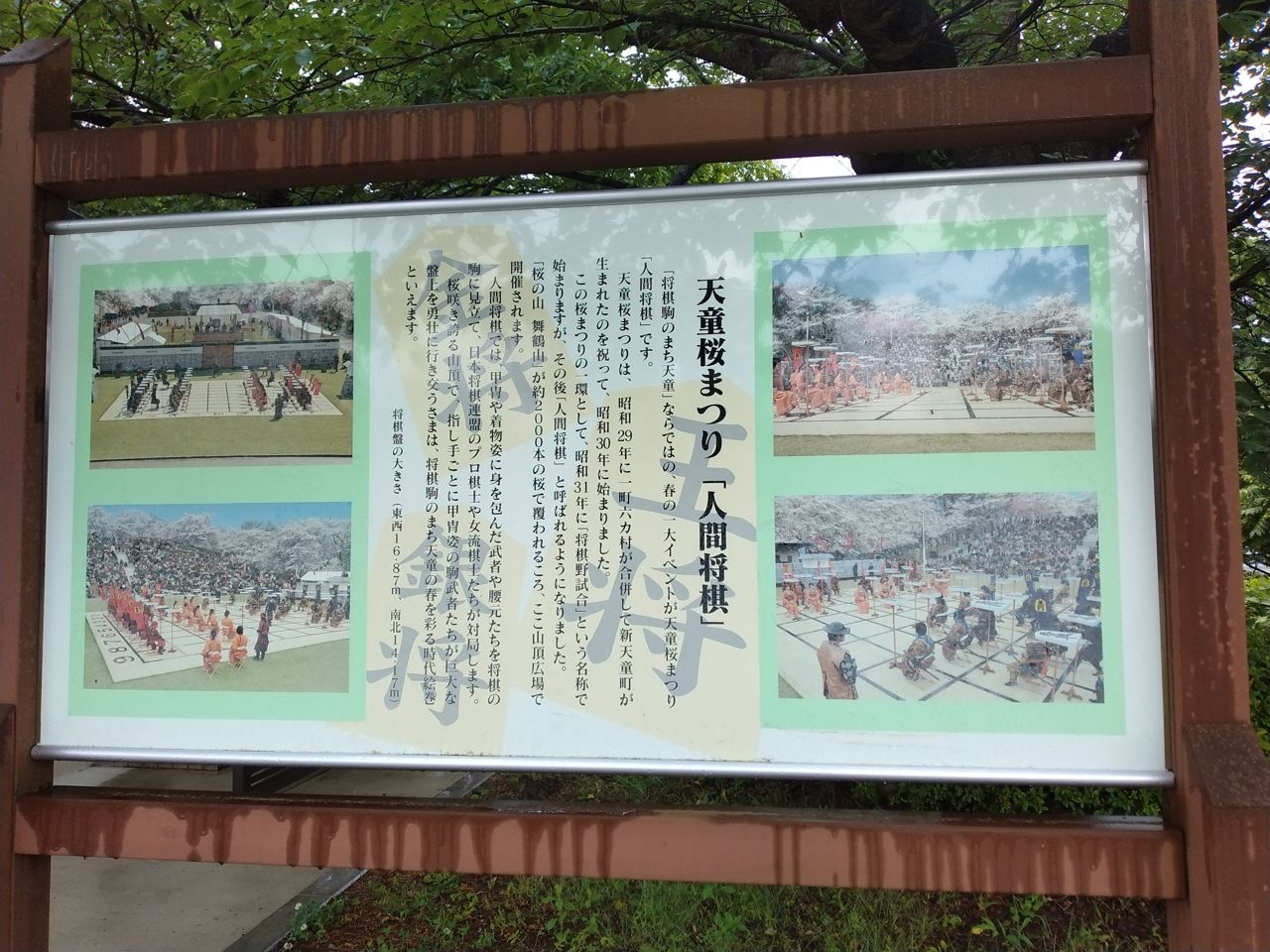 「天童桜まつり 人間将棋」の案内板。甲冑姿の武者が将棋の駒となり、桜咲く舞鶴山で対局が繰り広げられる
