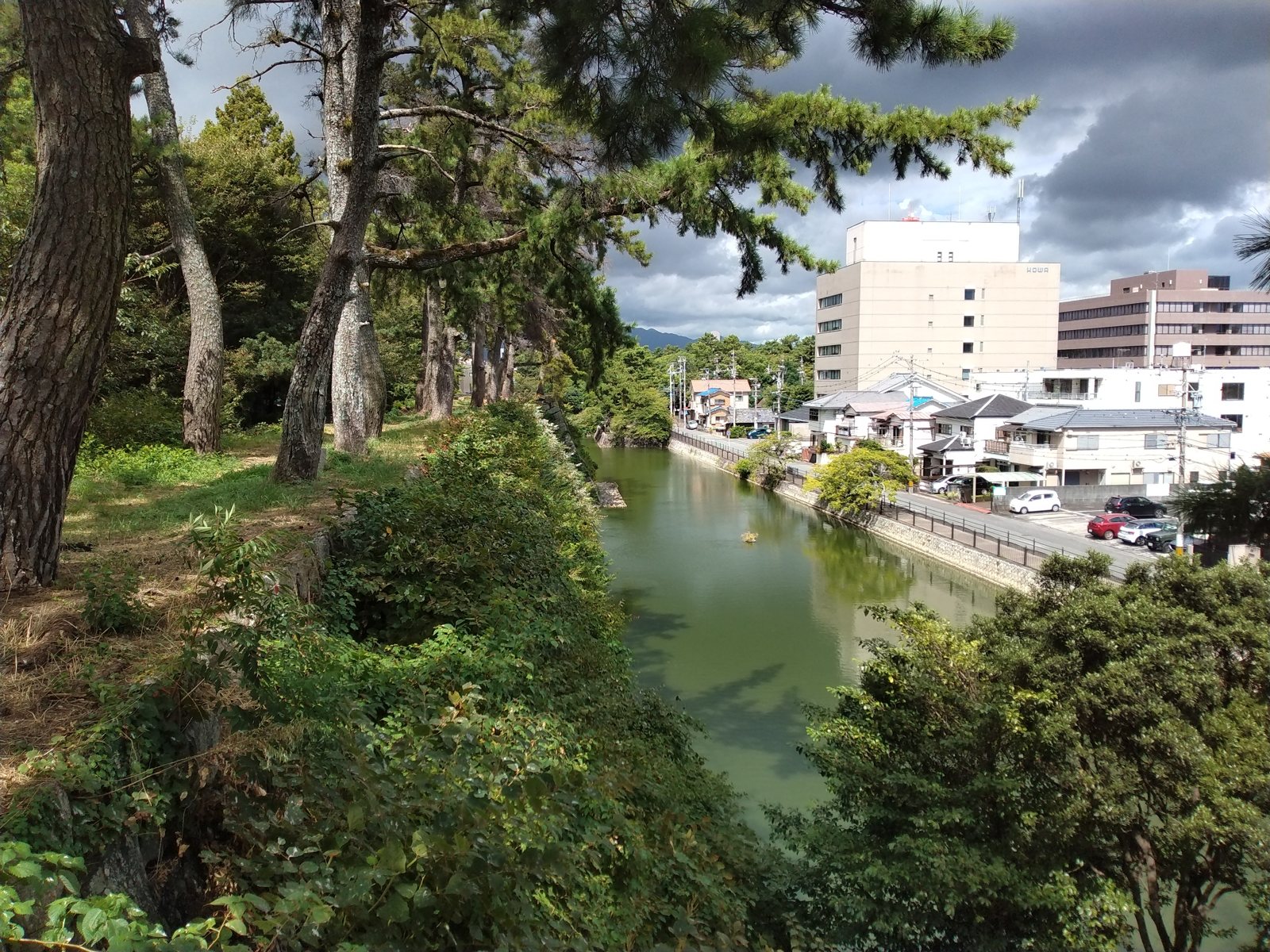 内堀と市街地。輪郭式の縄張のうち、いま水をたたえているのはこの内堀だけである