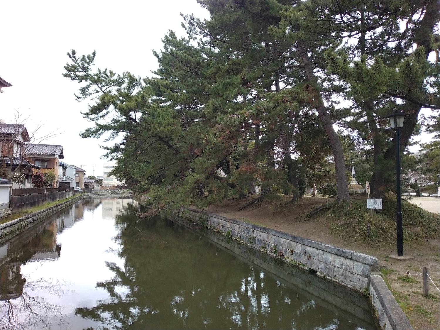 堀越しに見る土塀と松。土浦城は水の城である。
