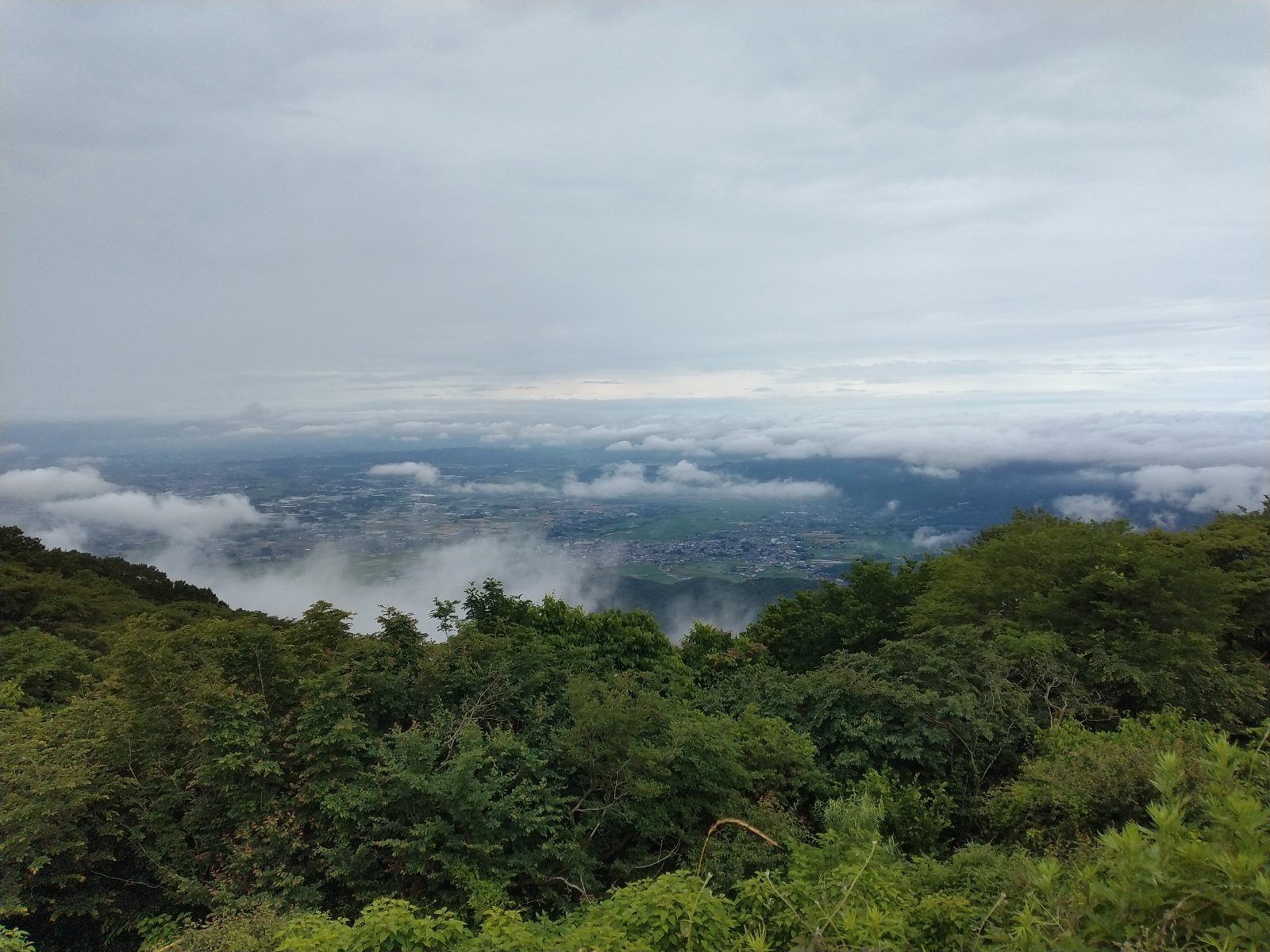 山頂付近からの眺め。低い雲が平野に横たわり、その切れ間に関東平野の集落と田が見えた