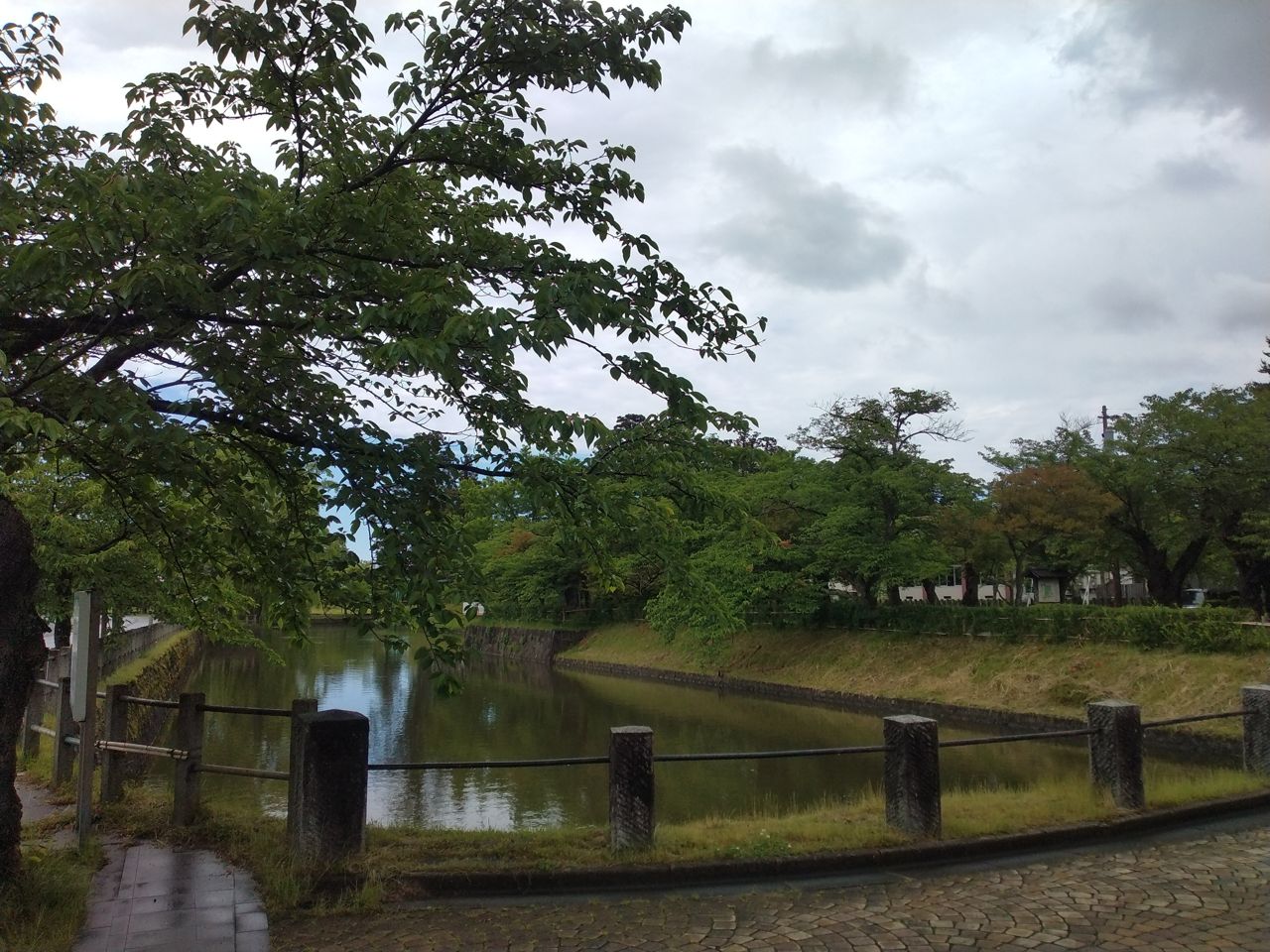鶴ヶ岡城の水堀。本丸・二の丸を囲む堀が今もめぐり、桜の名所として知られる