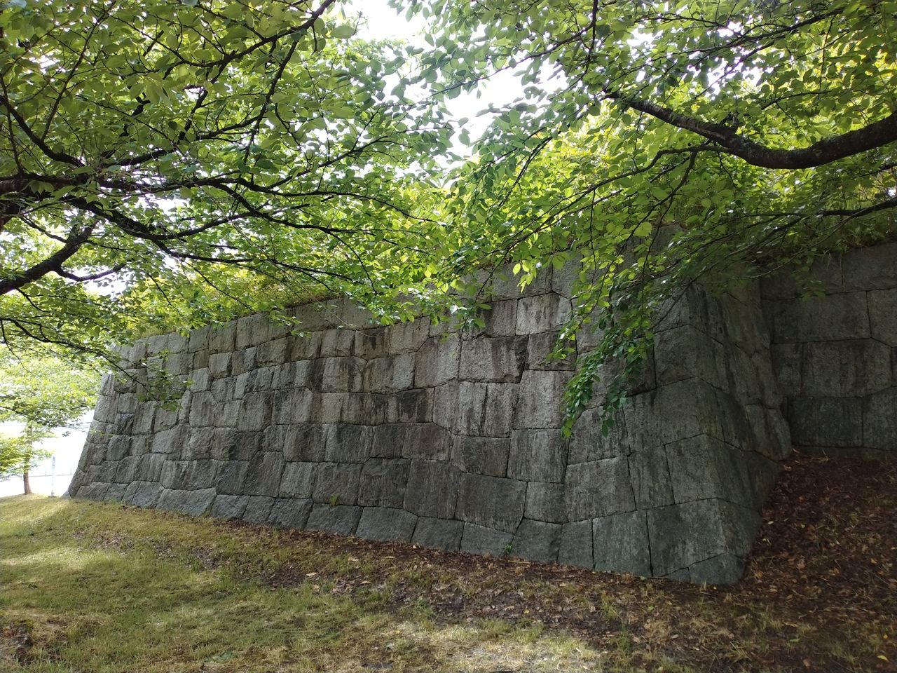 二の丸の角櫓跡に残る石垣。天守のない城ながら、要所はしっかりと石で固められていた