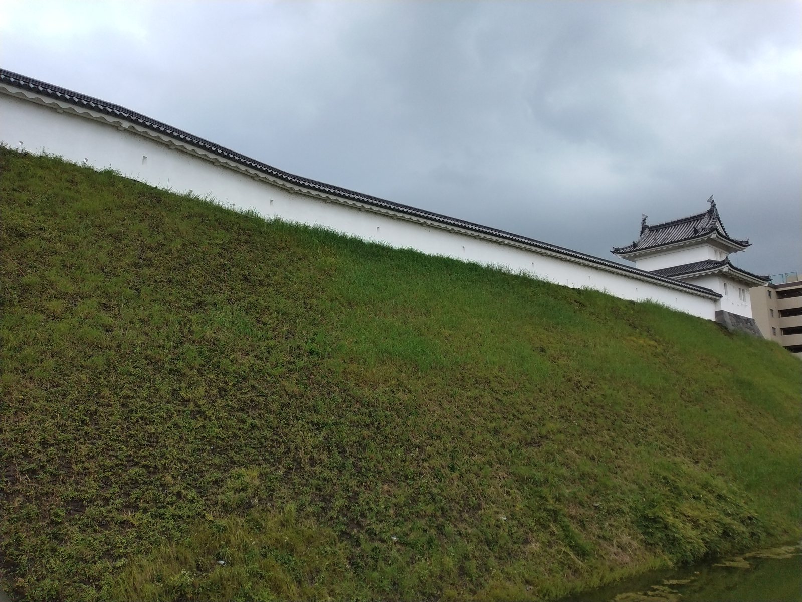 復元された本丸土塁と土塀。この長い土の斜面が、そのまま城の輪郭になっている