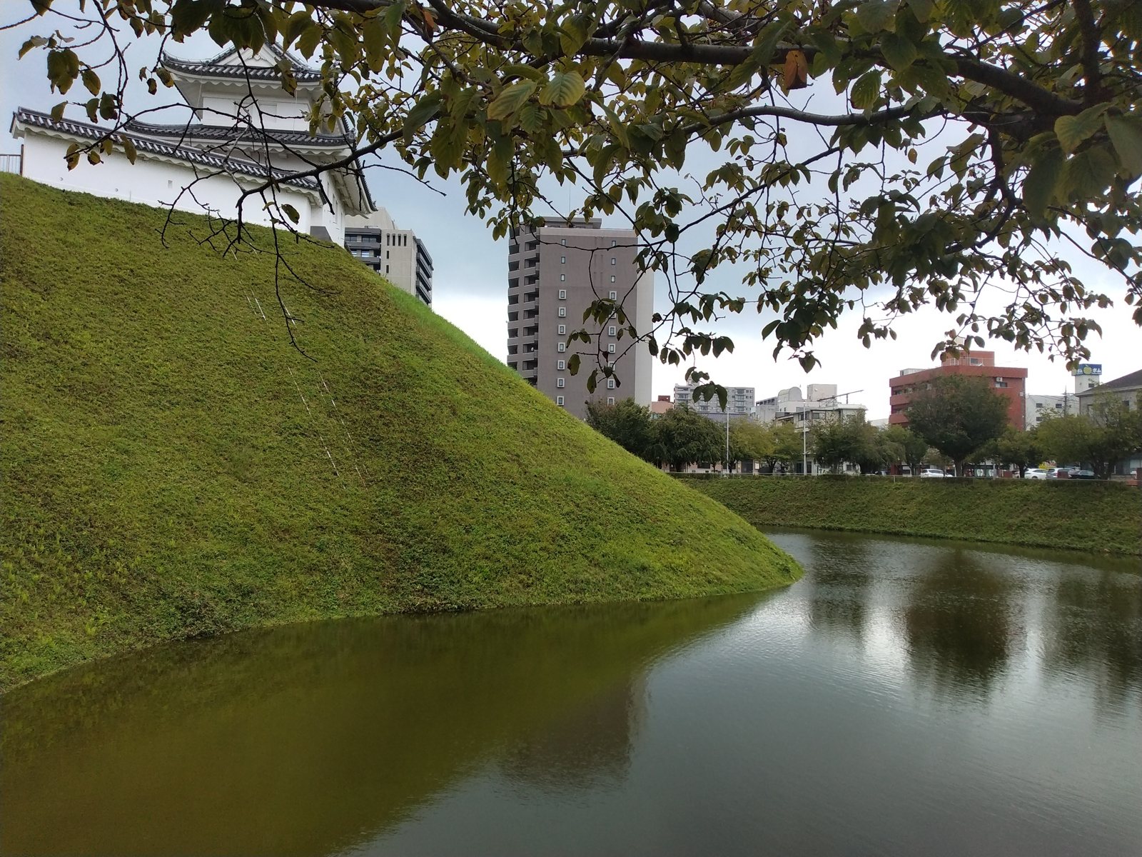 水堀ごしの城と、堀の外に立ち並ぶ現代のビル