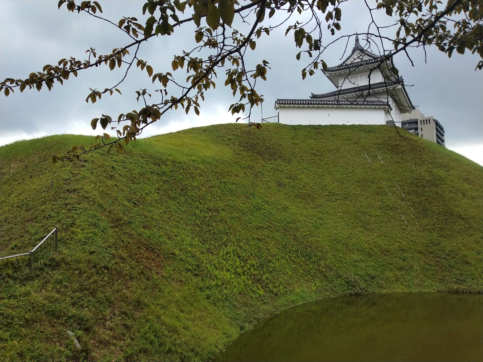 枝越しに見上げる土塁と復元櫓。この土塁の内側が焼けた