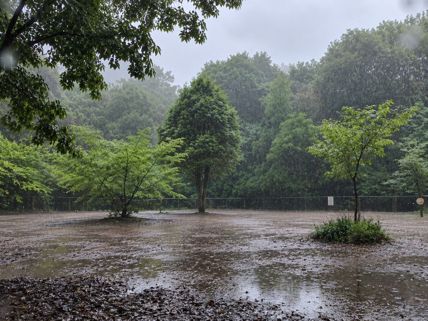 雨の岩国城北の丸スクエアの広場【幕末歴史ガイド】