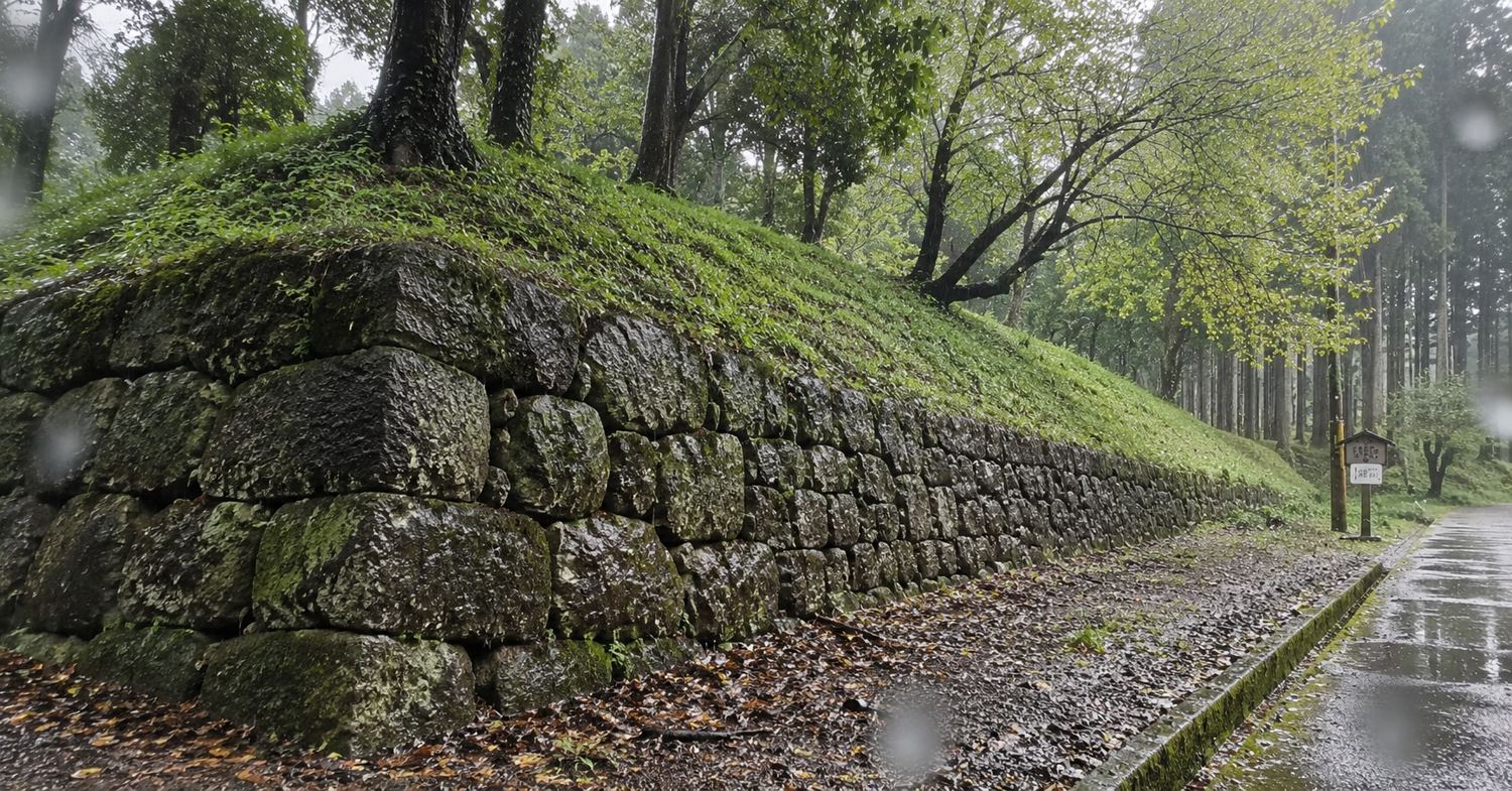 雨に濡れた烏山城跡の石垣と土塁。城跡の入口近くに残ります