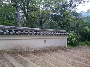 久留里城址の塀と紫陽花